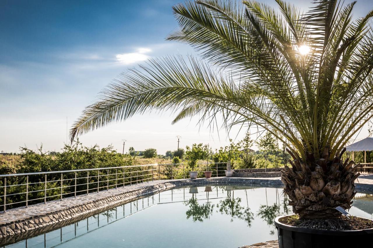 Country Spa Retreat Snagov Ngoại thất bức ảnh The pool at the hotel